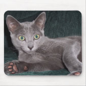 Tapis De Souris Chaton bleu russe Mousepad (Devant)