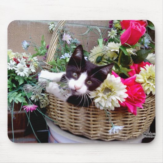 Tapis De Souris Chaton dans un panier (Devant)