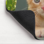 Tapis De Souris Chaton Dax Mousepad (Coin)