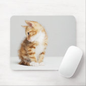 Tapis De Souris Chaton de gingembre (Avec souris)