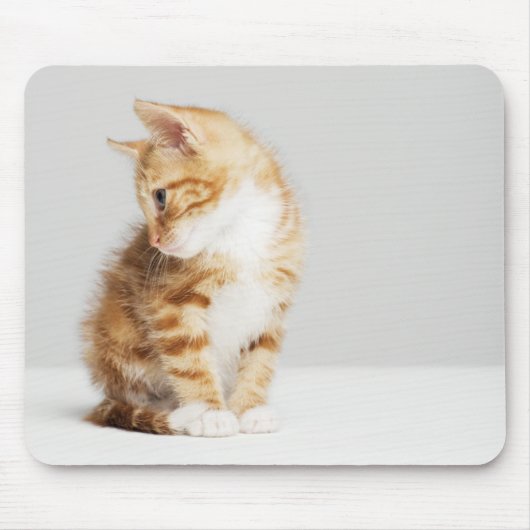 Tapis De Souris Chaton de gingembre (Devant)