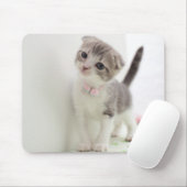 Tapis De Souris Chaton de pli d'écossais (Avec souris)
