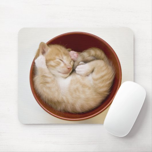 Tapis De Souris Chaton de sommeil (Avec souris)