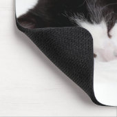 Tapis De Souris Chaton de sommeil (Coin)