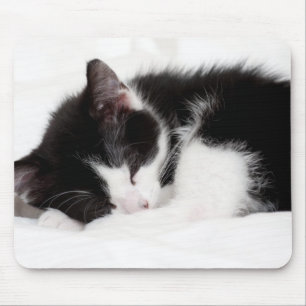 Tapis De Souris Chaton de sommeil