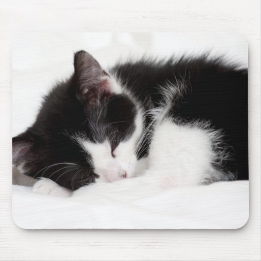 Tapis De Souris Chaton de sommeil (Devant)