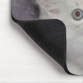 Tapis De Souris Chaton d'or Mousepad (Coin)