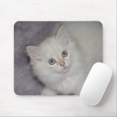 Tapis De Souris Chaton d'or Mousepad (Avec souris)