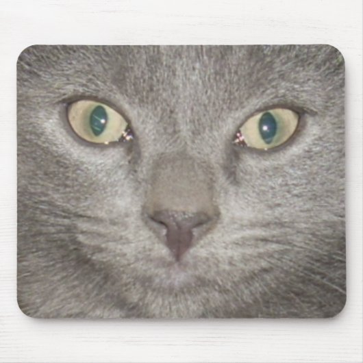 Tapis De Souris chaton face2 mousepad -gris (Devant)