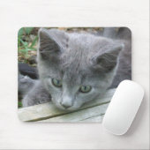 Tapis De Souris Chaton gris Mousepad (Avec souris)