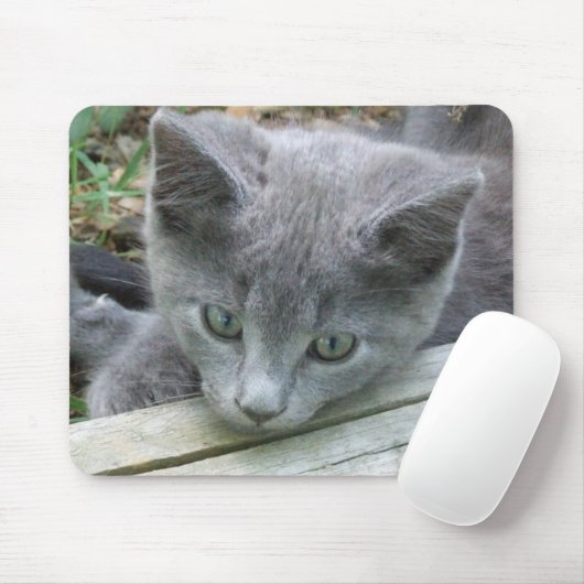Tapis De Souris Chaton gris Mousepad (Avec souris)