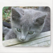 Tapis De Souris Chaton gris Mousepad (Devant)