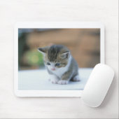 Tapis De Souris Chaton mignon (Avec souris)