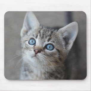 Tapis De Souris Chaton mignon dans le jardin