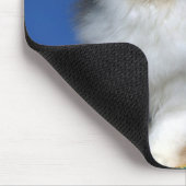 Tapis De Souris Chaton mignon M003 de chat (Coin)