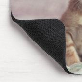 Tapis De Souris Chaton minuscule de gingembre (Coin)
