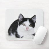 Tapis De Souris Chaton noir et blanc (Avec souris)
