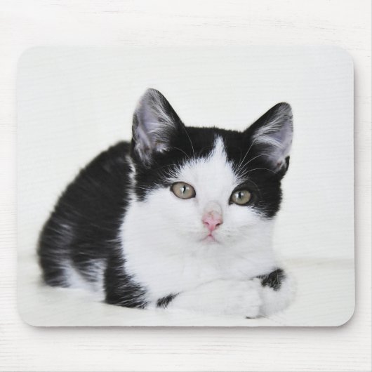 Tapis De Souris Chaton noir et blanc (Devant)