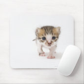 Tapis De Souris Chaton nouveau-né (Avec souris)
