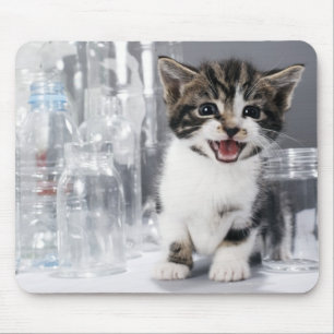 Tapis De Souris Chaton parmi les bouteilles et les pots réutilis
