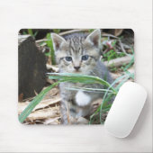 Tapis De Souris Chaton se cachant derrière la lame de l'herbe (Avec souris)