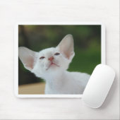 Tapis De Souris Chaton siamois (Avec souris)