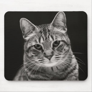 Tapis De Souris Chaton tigré noir