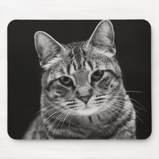 Tapis De Souris Chaton tigré noir (Devant)