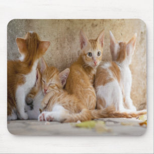 Tapis De Souris Chaton tigré orange et blanc/Ajoutez la photo de v