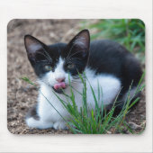 Tapis De Souris Chaton Tuxedo avec la langue qui sort (Devant)