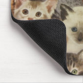Tapis De Souris Chatons (Coin)