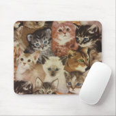 Tapis De Souris Chatons (Avec souris)