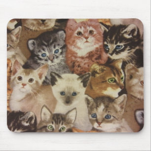 Tapis De Souris Chatons