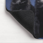 Tapis De Souris Chatons (Coin)