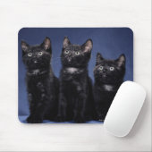 Tapis De Souris Chatons (Avec souris)