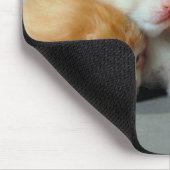 Tapis De Souris Chatons à fourrure orange (Coin)