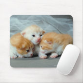 Tapis De Souris Chatons à fourrure orange (Avec souris)