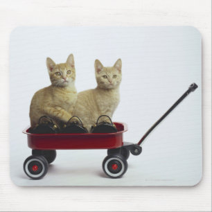 Tapis De Souris Chatons dans le chariot