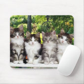 Tapis De Souris chatons dans le mousepad de jardin (Avec souris)