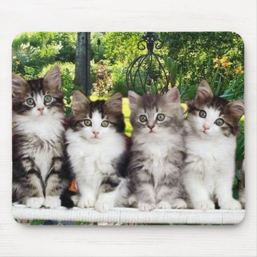 Tapis De Souris chatons dans le mousepad de jardin (Devant)