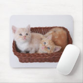 Tapis De Souris Chatons dans le panier (Avec souris)