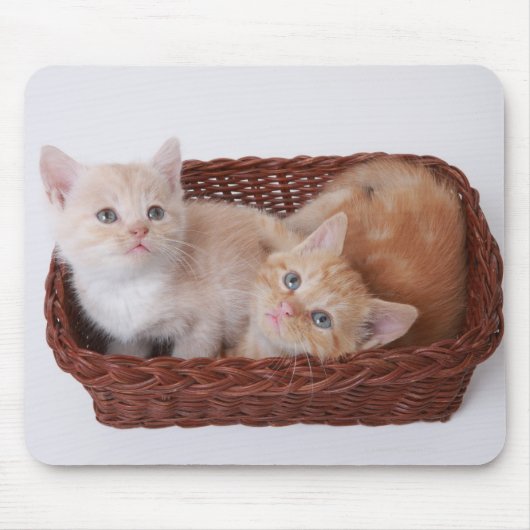 Tapis De Souris Chatons dans le panier (Devant)