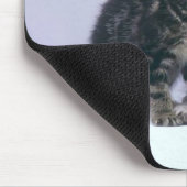Tapis De Souris chatons de cuddy ! (Coin)