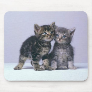 Tapis De Souris chatons de cuddy !