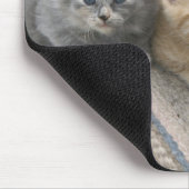 Tapis De Souris Chatons de grange sur une couverture de cheval (Coin)