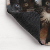 Tapis De Souris Chatons de smoking (Coin)