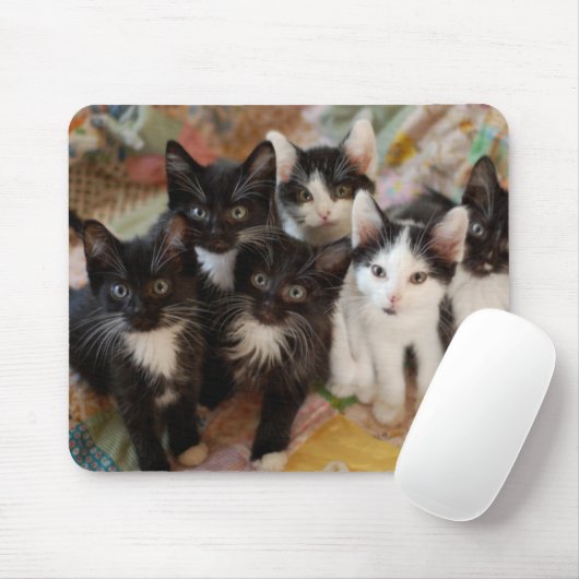 Tapis De Souris Chatons de smoking (Avec souris)