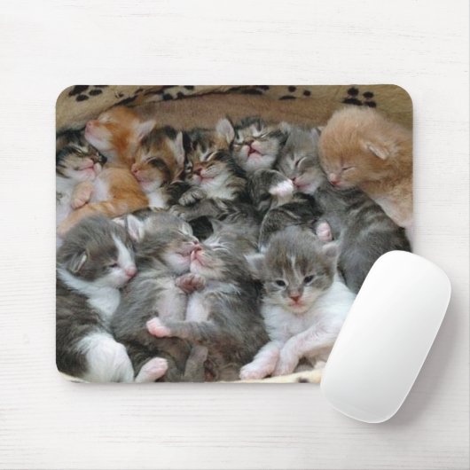 Tapis De Souris Chatons de sommeil (Avec souris)