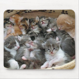 Tapis De Souris Chatons de sommeil
