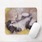 Tapis De Souris Chatons de sommeil (Avec souris)